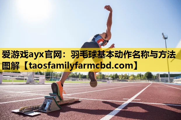 爱游戏ayx官网：羽毛球基本动作名称与方法图解