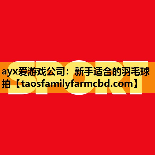 ayx爱游戏公司：新手适合的羽毛球拍