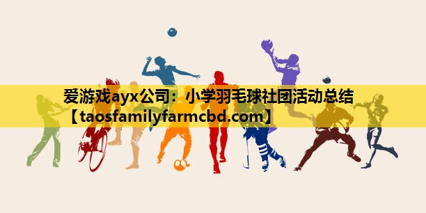 爱游戏ayx公司：小学羽毛球社团活动总结